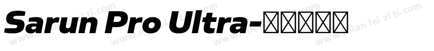 Sarun Pro Ultra字体转换
